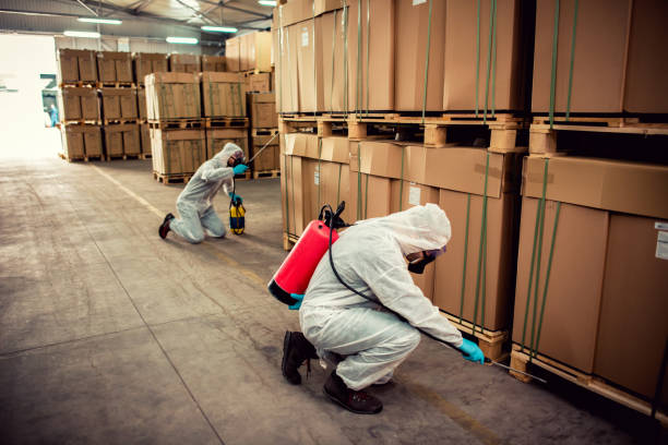Best Emergency Pest Control  in Remsen, IA