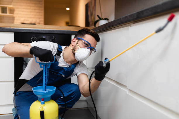 Flea Control Services in Remsen, IA